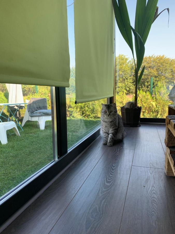 Tu&Ya Cabins Agigea Dış mekan fotoğraf
